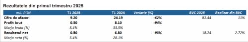 TradeVille: 2B Intelligent îşi menţine poziţia financiară solidă, în pofida scăderii veniturilor